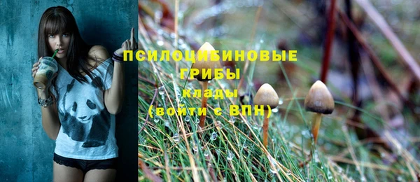 МДМА Богородицк