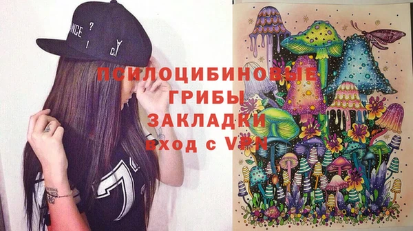 крисы Бугульма