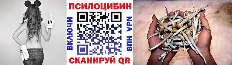 Галлюциногенные грибы Psilocybine cubensis  где можно купить наркотик  Юрга 